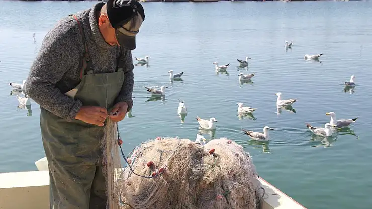 Küçük balıkçıların başı yunuslarla dertte