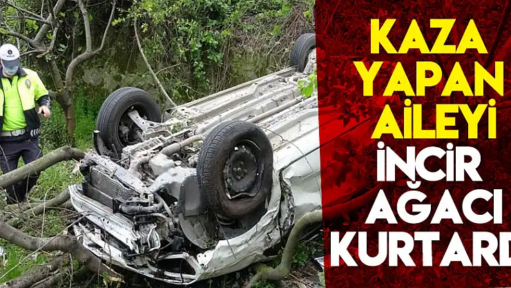 Samsun'da şarampole yuvarlanan araçtaki aileyi ölümden incir ağacı kurtardı