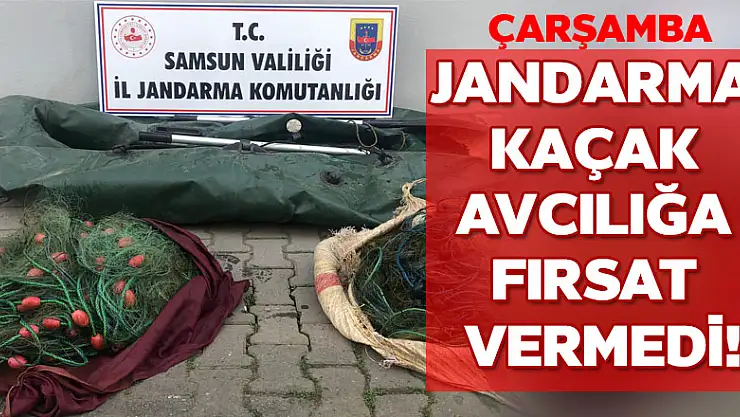 Jandarma kaçak avcılığa fırsat vermedi!