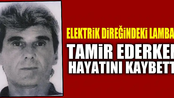 Elektrik direğindeki lambayı tamir ederken akıma kapılıp düşerek hayatını kaybetti