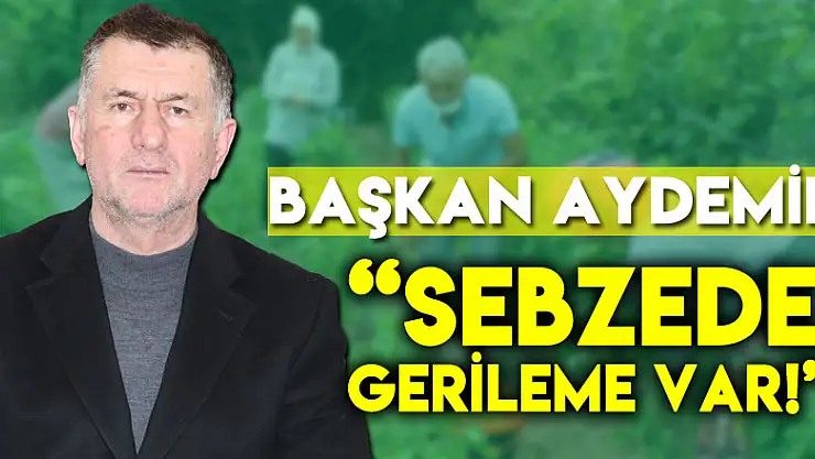 Başkan Aydemir, 'Sebzede gerileme var!'