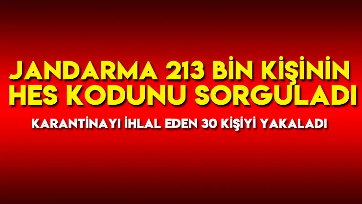 Jandarma 213 bin kişinin HES kodunu sorguladı, karantinayı ihlal eden 30 kişiyi yakaladı