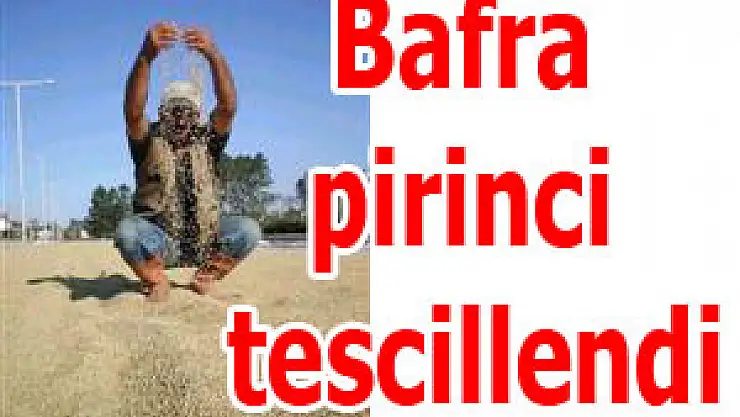 Bafra pirinci tescillendi