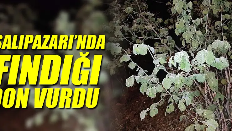 SALIPAZARI'NDA FINDIĞI DON VURDU!
