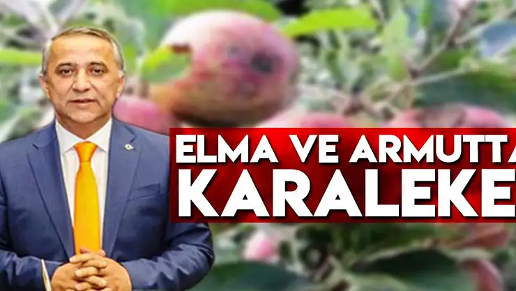 Elma ve Armutta Karaleke!