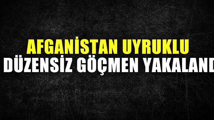 Samsun'da Afganistan uyruklu 7 düzensiz göçmen yakalandı
