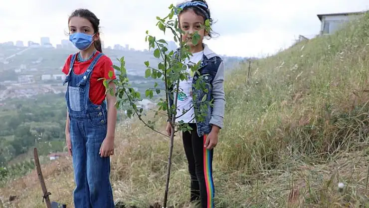Samsun'da imece usulü dikilen fidanlar yarınlara nefes olacak