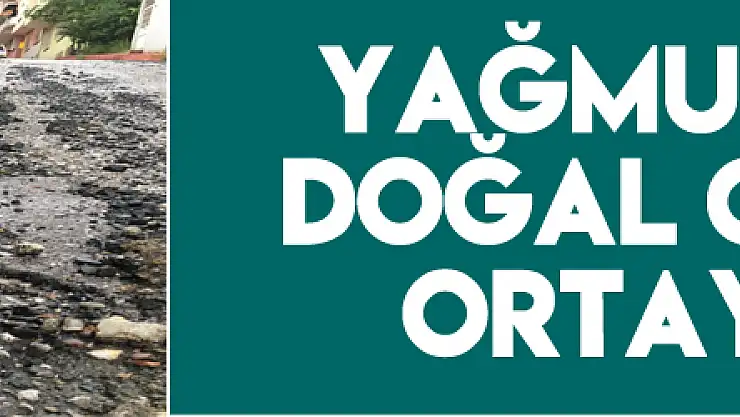 Yağmur yağdı, doğal gaz hattı ortaya çıktı