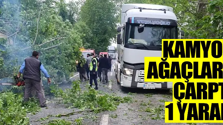 Kamyon ağaçlara çarptı: 1 yaralı