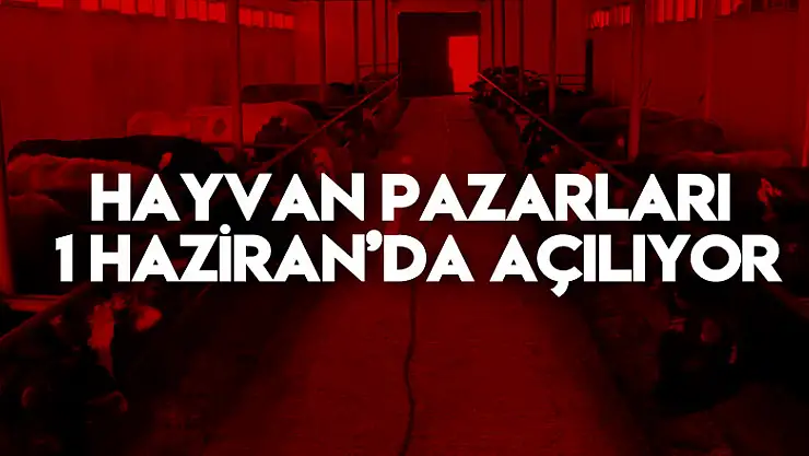 Hayvan pazarları 1 Haziran'da açılıyor