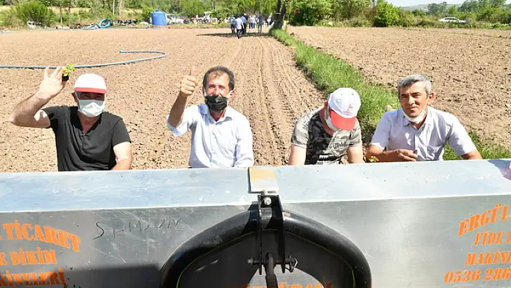 Üreticiye 225,5 bin tıbbi aromatik fide desteği