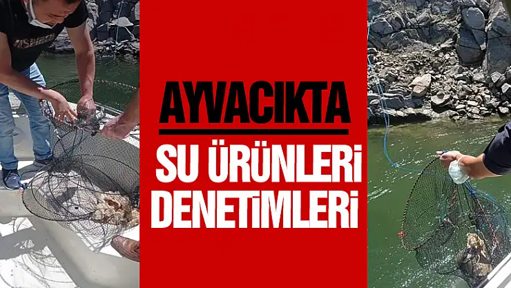 AYVACIKTA SU ÜRÜNLERİ DENETİMLERİ