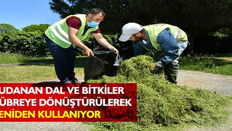 Budanan dal ve bitkiler gübreye dönüştürülerek yeniden kullanıyor