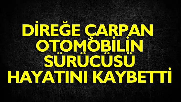Direğe çarpan otomobilin sürücüsü hayatını kaybetti