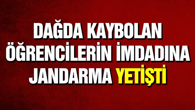 Dağda kaybolan öğrencilerin imdadına jandarma yetişti