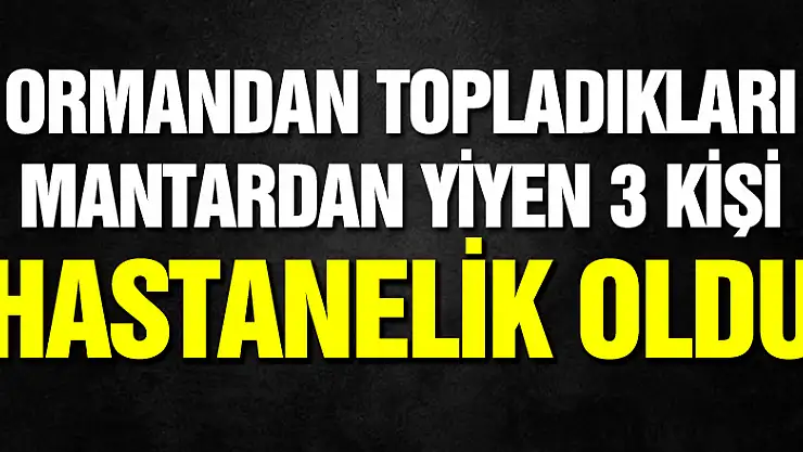 Ormandan topladıkları mantardan yiyen 3 kişi hastanelik oldu