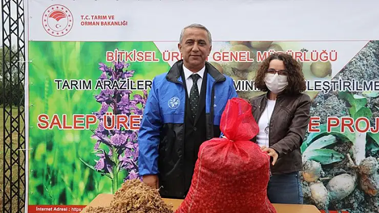 19 Mayıs'ta salep yumru tohumu dağıtıldı