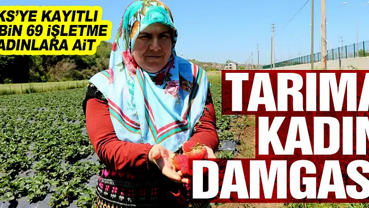 Samsun'da tarıma kadın damgası: ÇKS'ye kayıtlı 68 bin 507 işletmeden 9 bin 69'u kadınlara ait