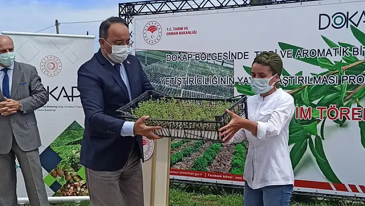 Kekik Fide Dağıtım ve Dikimi Tarla Günü