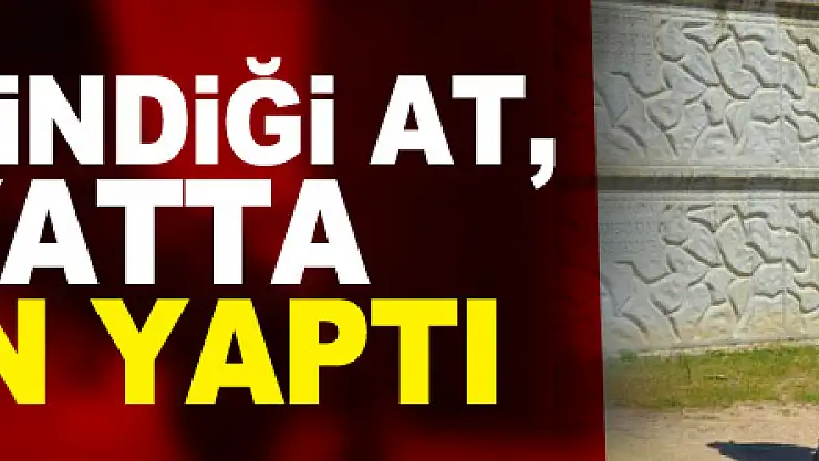 Askerde bindiği at, sivil hayatta şampiyon yaptı