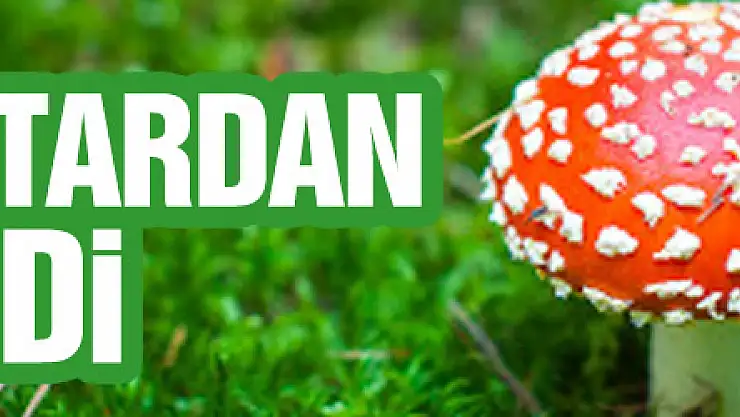 Samsun'da 4 kişi mantardan zehirlendi