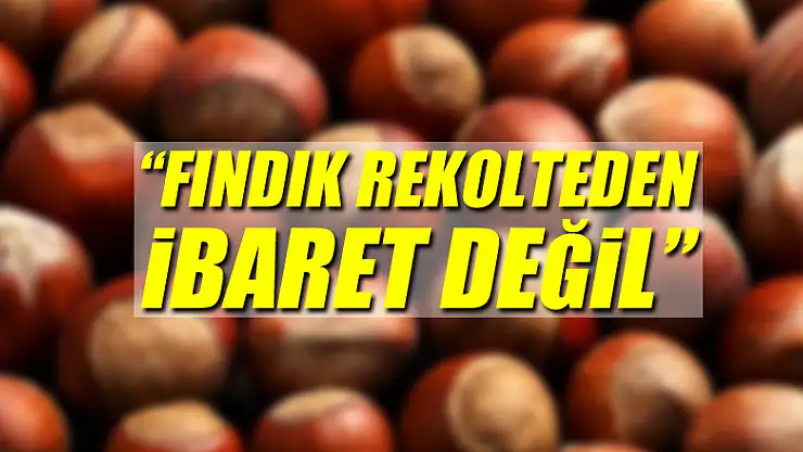 'Fındık rekolteden ibaret değil'