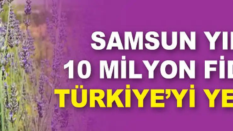 Samsun yılda 134 türde 10 milyon fidan üreterek Türkiye'yi yeşillendiriyor