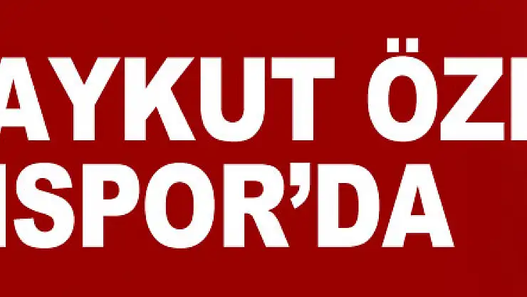 Kaleci Aykut Özer Samsunspor'da