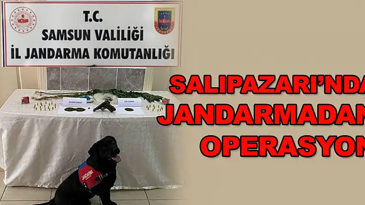 Jandarmadan operasyon 