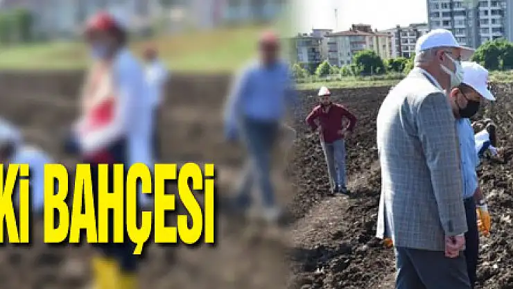 OMÜ'ye tıbbi-aromatik bitki bahçesi