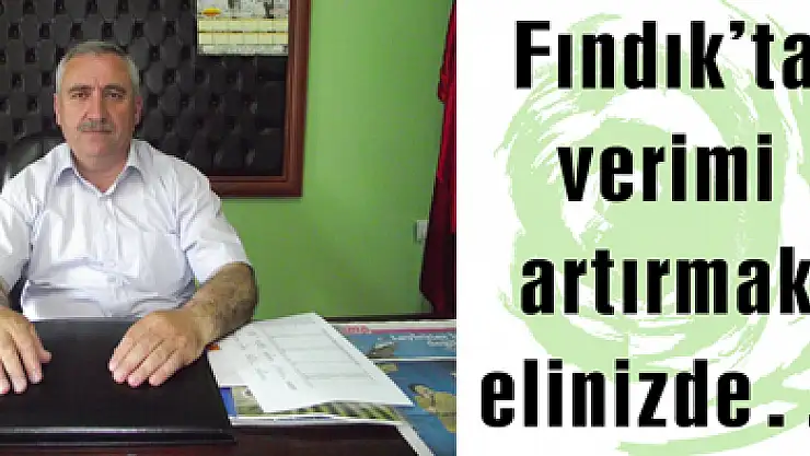 Fındık'ta verimi artırmak elinizde…