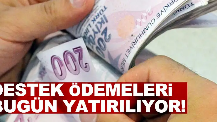 Destek ödemeleri bugün yatırılıyor!