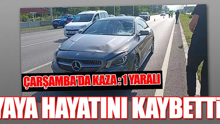  Otomobilin çarptığı yaya hayatını kaybetti  