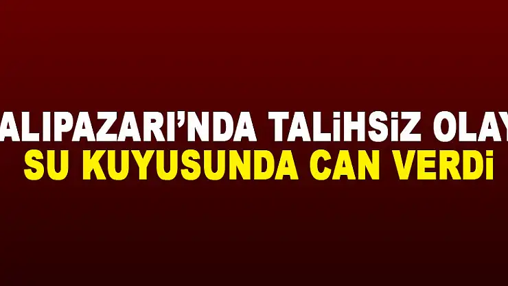 SALIPAZARI'NDA TALİHSİZ OLAY! SU KUYUSUNDA CAN VERDİ
