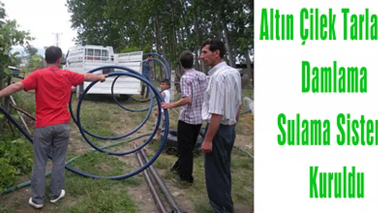 Altın Çilek Tarlasına Damlama Sulama Sistemi Kuruldu