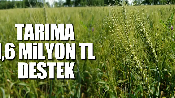 Tarıma 1,6 milyon TL destek