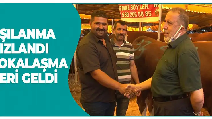 Aşılanma hızlandı, kurban pazarlarında tokalaşma geri geldi