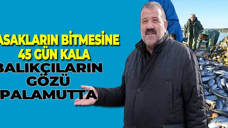 Yasakların bitmesine 45 gün kala balıkçıların gözü palamutta