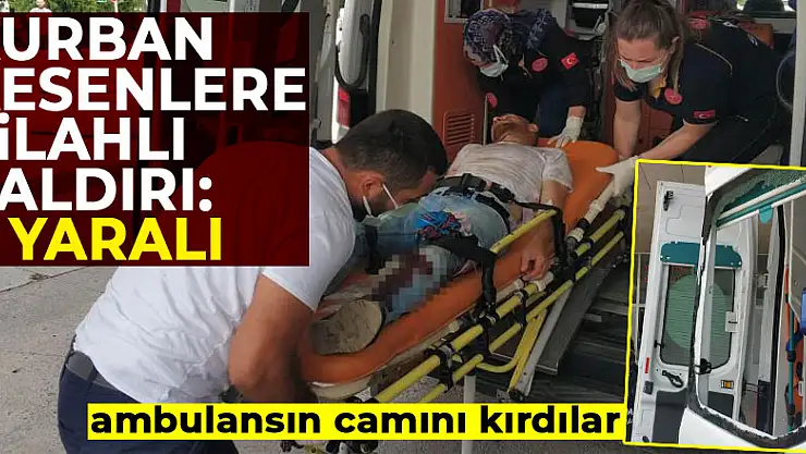 Kurban kesenlere silahlı saldırı: 2 yaralı