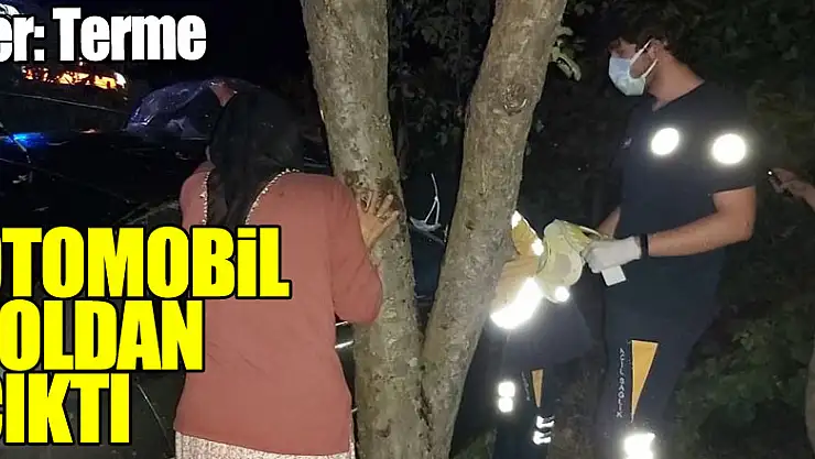 Otomobil yoldan çıktı: 2 yaralı