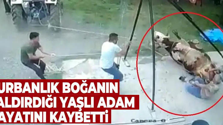 Kurbanlık boğanın saldırdığı yaşlı adam hayatını kaybetti