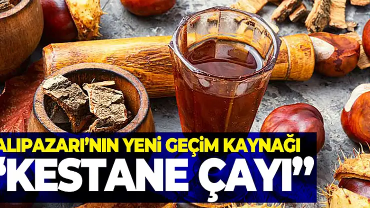 SALIPAZARI'NIN YENİ GEÇİM KAYNAĞI 'KESTANE ÇAYI'
