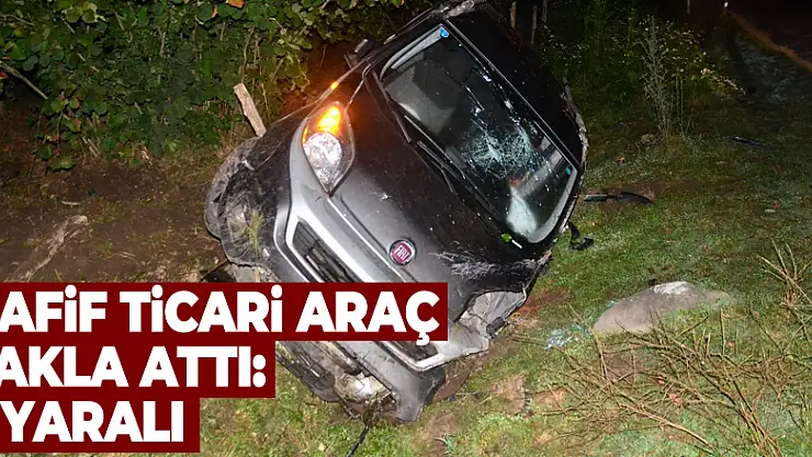 Hafif ticari araç takla attı: 2 yaralı