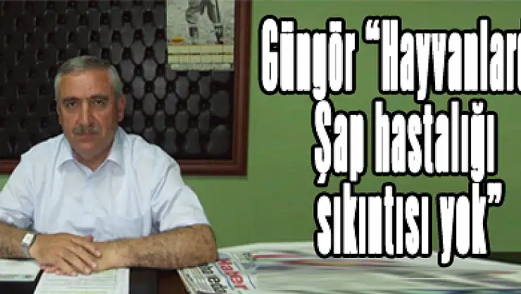 Güngör 'Hayvanlarda Şap hastalığı sıkıntısı yok'