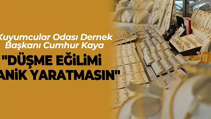 'Düşme Eğilimi Panik Yaratmasın'