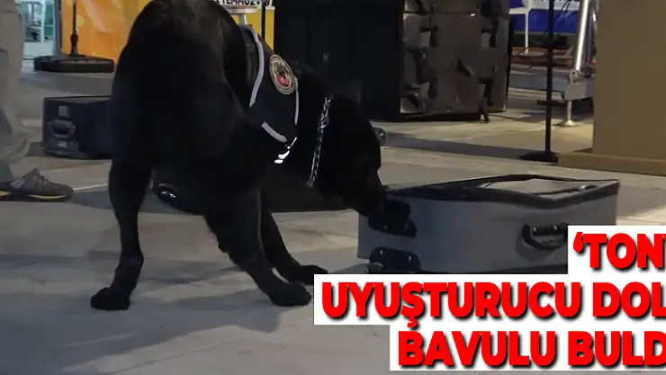 Narkotik köpeği 'Tony' uyuşturucu dolu bavulu buldu