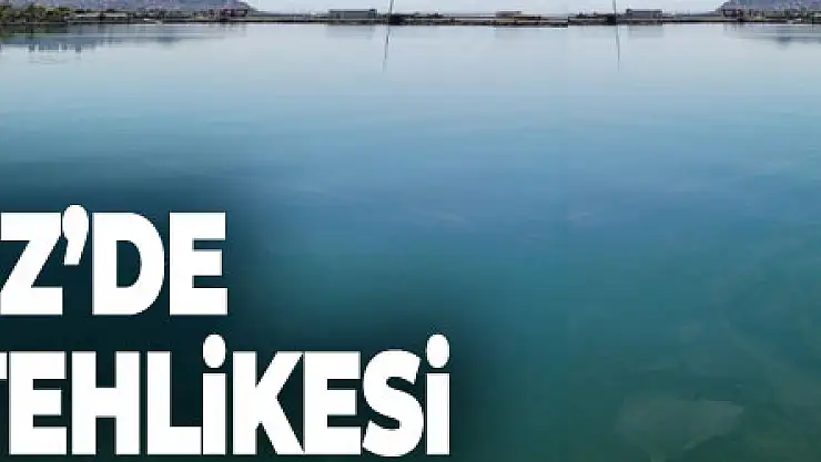 Karadeniz'de müsilaj tehlikesi