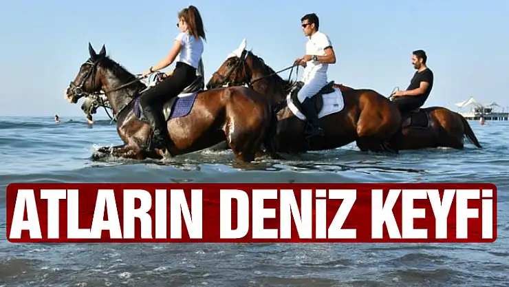Atların deniz keyfi
