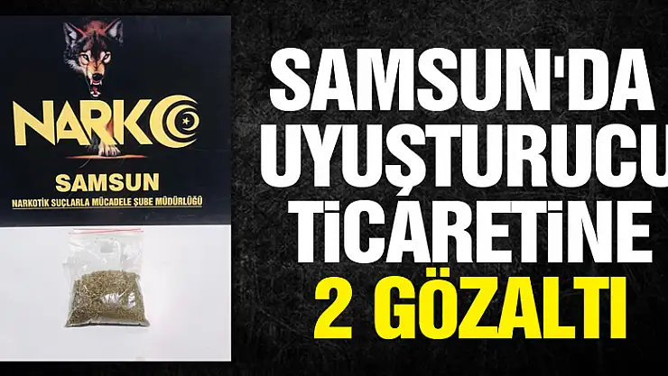 Samsun'da uyuşturucu ticaretine 2 gözaltı