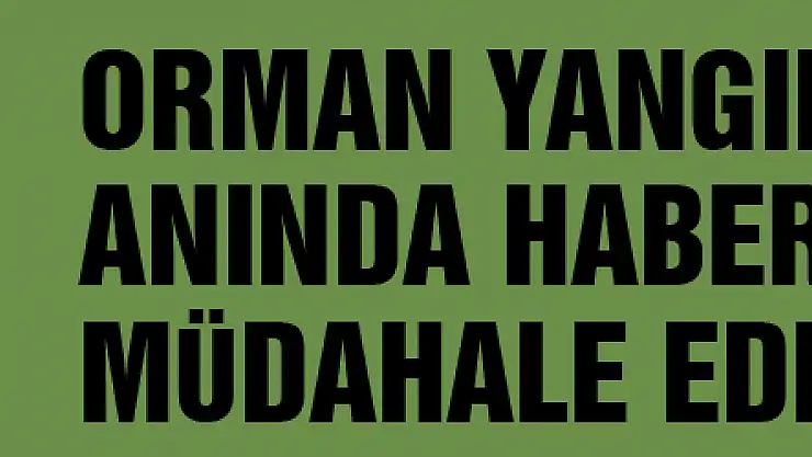 Orman yangınlarını anında haber veren ve müdahale eden keşif